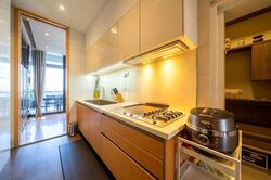 Nouvel 18 (D10), Condominium #452426491
